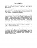 Ensayo sobre las consecuencias que trae el calentamiento global