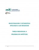 INVESTIGACIÓN Y ESTADÍSTICA APLICADA - NEGOCIOS