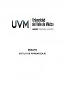 ENSAYO - TIPOS DE APRENDIZAJE