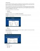 Tipos y funciones generales de los ácidos nucleicos