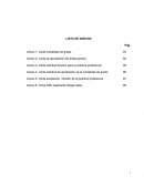 Tesis sistema de informacion orientado a la web