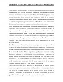 DERECHOS FUNDAMENTALES: SIGNIFICADO Y PROTECCIÓN. Página 1