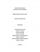 Proyecto grupal gerencia de produccion