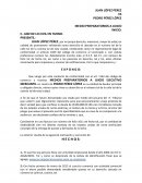 DEMANDA MEDIOS PREPARATORIOS