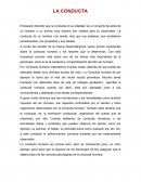 TRABAJO DE INVESTIGACIÓN - LA CONDUCTA