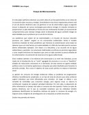 Ensayo sobre Microeconomía.