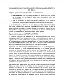 ORGANIZACIÓN Y FUNCIONAMIENTO DEL ORGANO EJECUTIVO DE ISRAEL