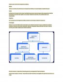 Empresa de servicio de emergencias médicas