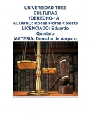 Derecho de Amparo JURISPRUDENCIA
