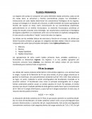 Los tejidos primarios del cuerpo