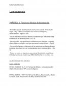 Luminotecnia: Funciones básicas de iluminación.