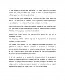 Ensayo- Politica