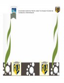 Examen - Presupuesto