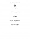 Trabajo de Relaciones Jurídicas Obligatorias