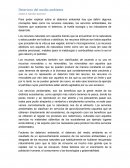 El deterioro del medio ambiente.