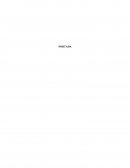 Apuntes sobre el Esquema de protocolo