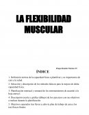 LA FLEXIBILIDAD MUSCULAR