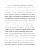 Caso Practico- resumen