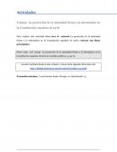 La protección de la intimidad frente a la informática en la Constitución española de 1978