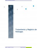 Registro y Tratamiento de Hallazgos