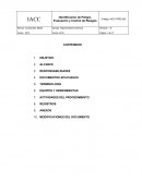 Procedimiento de Identificacion y Evaluación de riesgos