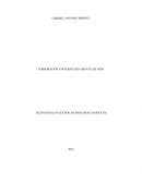 TECNOLOGIA EN GESTIÓN DE PROCESOS LOGÍSTICOS