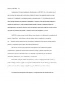 Informe AISTEIN , S.L