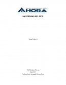 Ensayo sobre la Constitucionalidad de la ley de armas de Puerto Rico