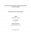 Ejemplo de Informe de Practicas Pre-Profesionales