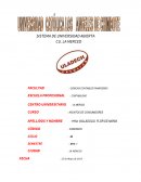 SISTEMA DE UNIVERSIDAD ABIERTA