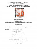 NTERCAMBIO DE ELECTROLITOS Y SOLUTOS A TRAVÉS DE LA MEMBRANA