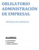 Proyecto Organización de Empresas