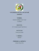 Filosofia ¿Qué son los valores?