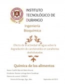 Efecto de la actividad de agua sobre la degradación de carotenoides en zanahorias deshidratadas