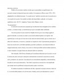 Como se da La nueva escuela