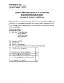 Formato Único - Proyecto Profesional