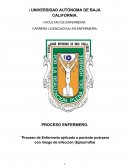 Proceso de Enfermería aplicado a paciente