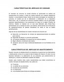 CARACTERÍSTICAS DEL MERCADO DE CONSUMO