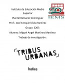 Desarrollo ¿Qué es una tribu urbana