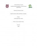 Laboratorio de Mecánica Clásica Reporte de práctica: Ondas superficiales en un líquido