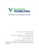 EL CHINITO VELOZ, UNA ANALISIS Y MEDICION DE OPERACIONES PARA EFICIENTAR SU OPERACIÓN PARA OBTENER MEJORES RESULTADOS FINANCIEROS