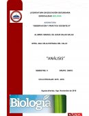 OBSERVACIÓN Y PRÁCTICA DOCENTE, ANÁLISIS