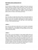 Descripción de las Láminas del C.A.T
