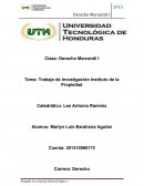 Trabajo de Investigación Instituto de la Propiedad