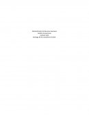 Control 4 gestion de personas