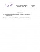 En el presente documento se incluye el organigrama y las funciones de todos los puestos de la Empresa N & C S.R.L.