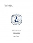 Desarrollo ejercicios instalaciones sanitarias