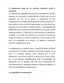 El adolescente, parte de un contexto individual, social y emocional