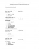 Intereses vocacionales, Especialidades