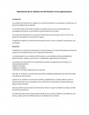 Como son los Sistemas de informacion